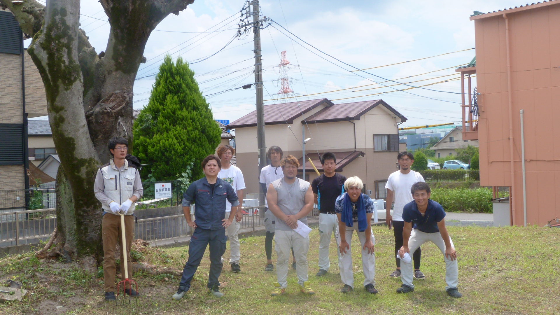 組合大木剪定・草刈りのイメージ