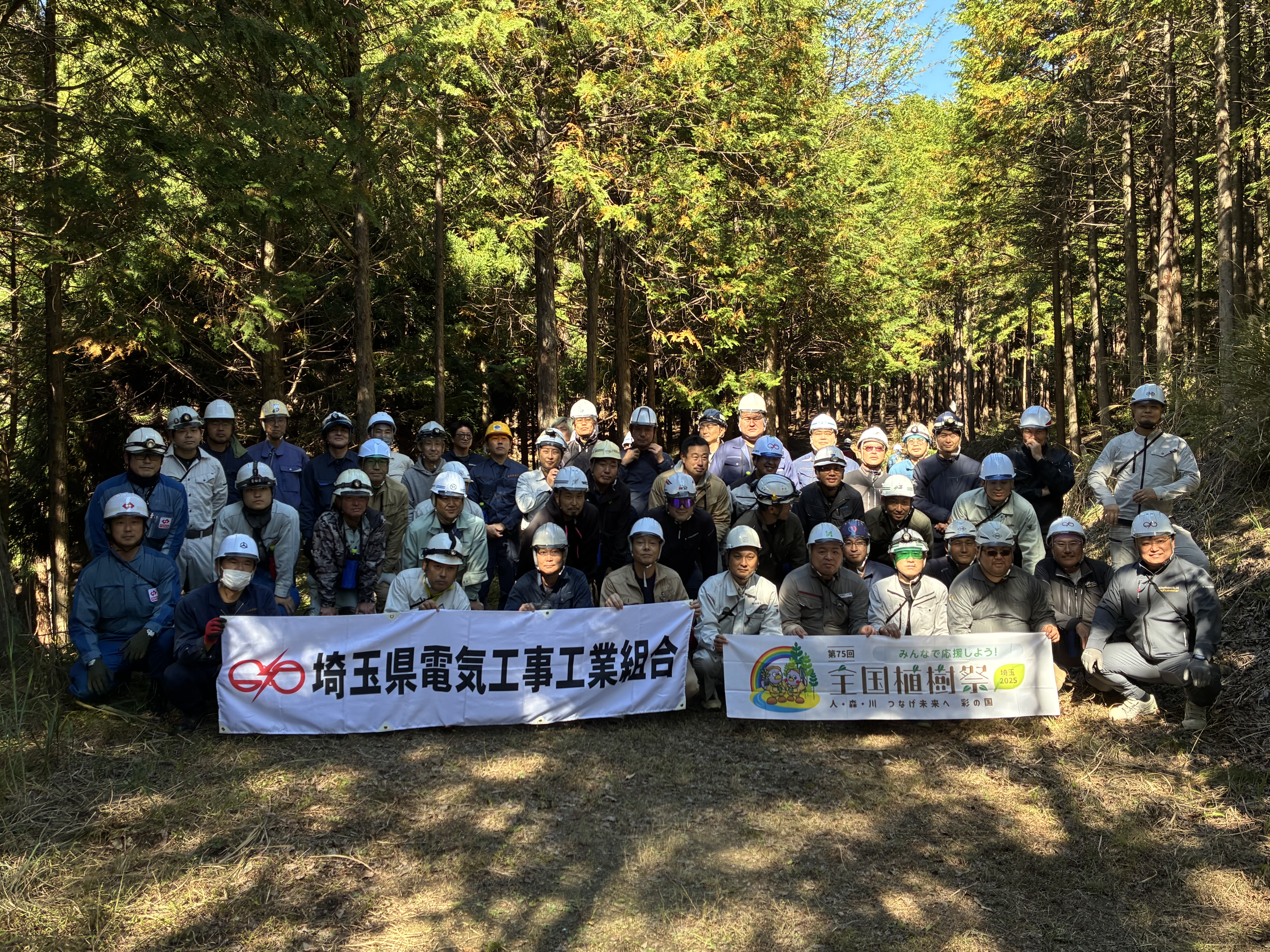 第16回森林ボランティア活動を実施 のイメージ